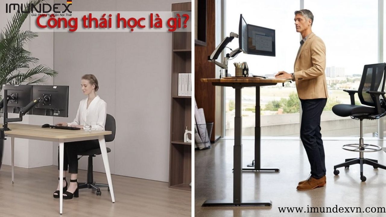 Bàn nâng hạ công thái học là gì