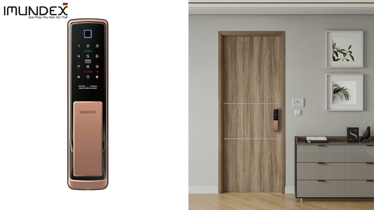 Khóa Điện Tử Imundex 613.92.323
