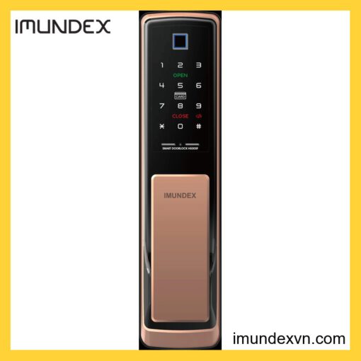Khóa điện tử tay nắm dạng Push & Pull Imundex 613.92.323