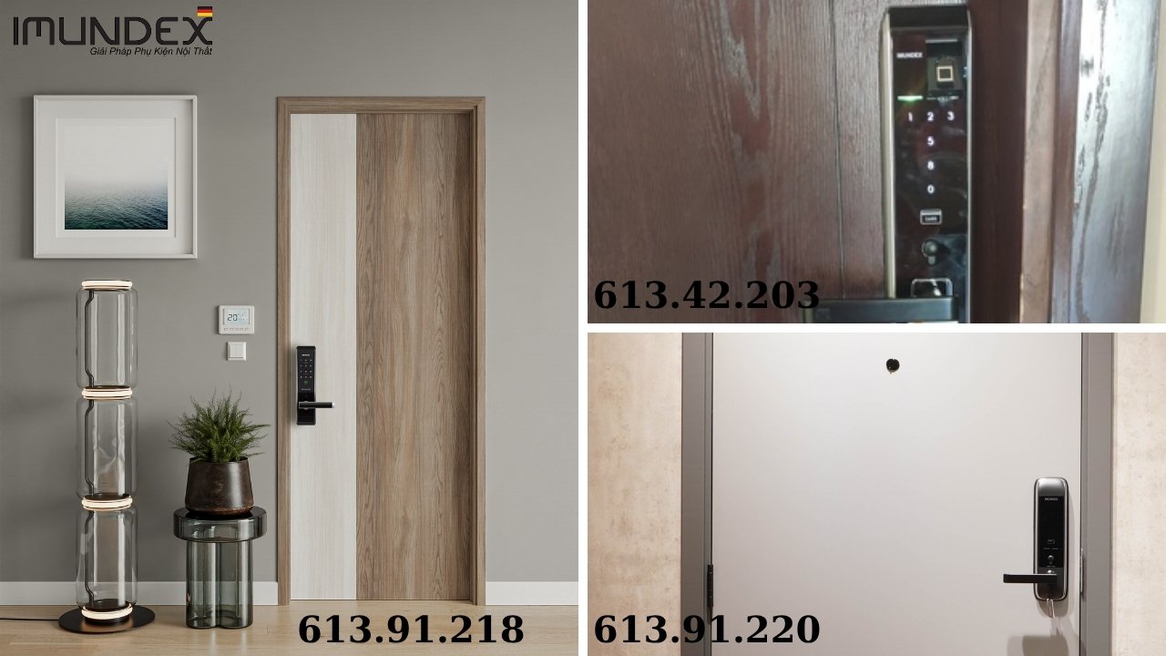 Một số mẫu khóa tay nắm điện tử Imundex đáng quan tâm