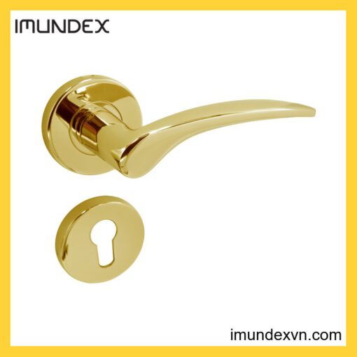 Tay nắm gạt đặc Imundex 737.17.382