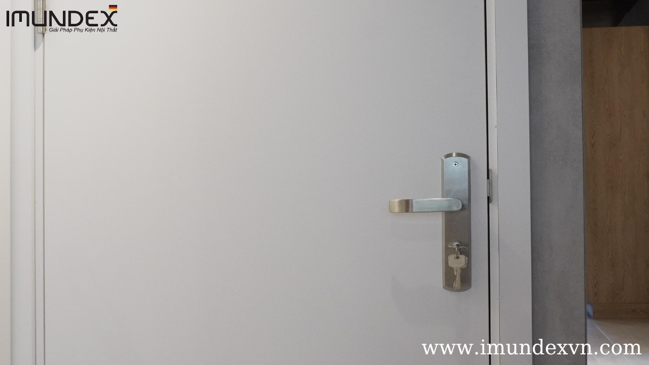 Tay nắm gạt tiêu chuẩn Imundex
