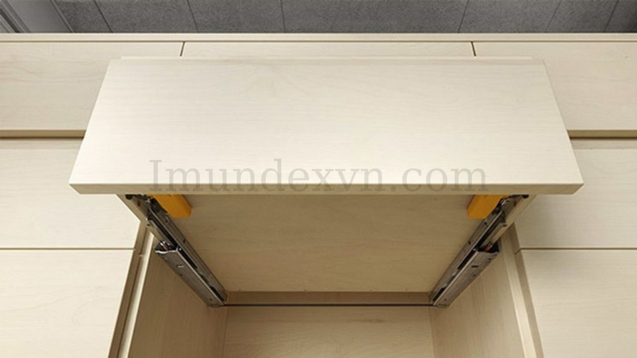 Ray âm giảm chấn Imundex